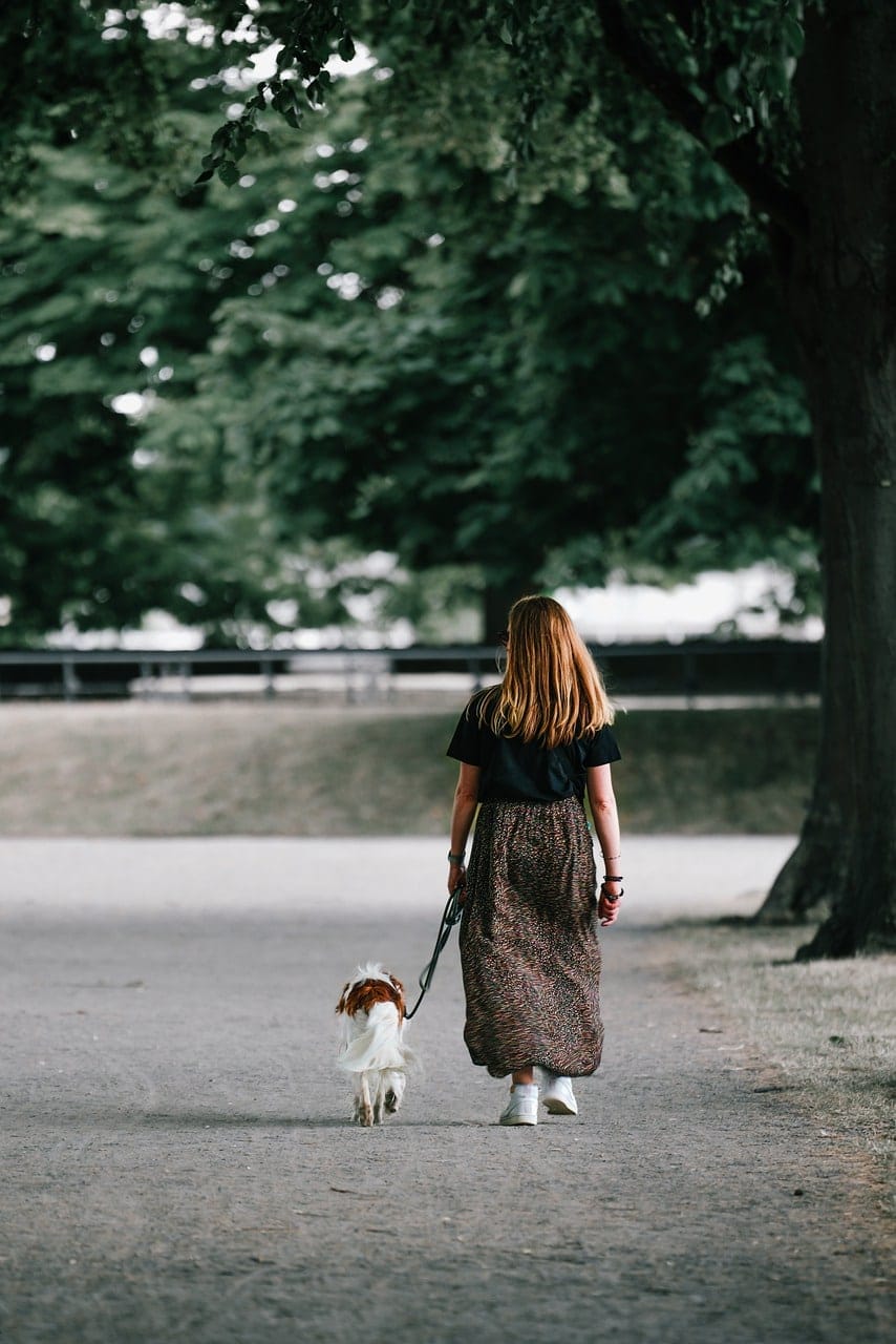 Pet Walking